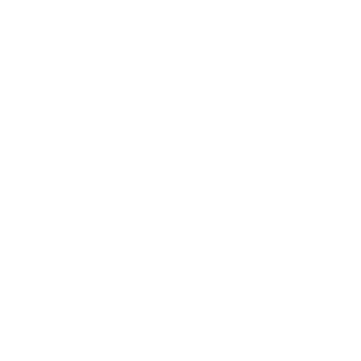 قيم المؤسسة