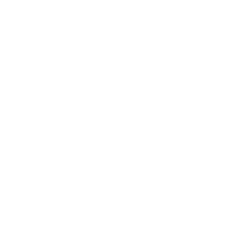 قيم المؤسسة