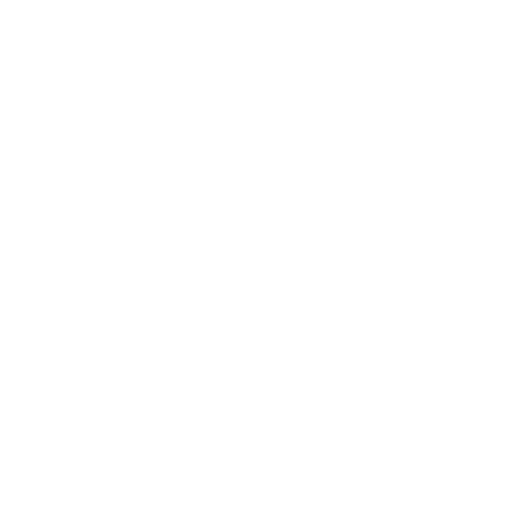 قيم المؤسسة